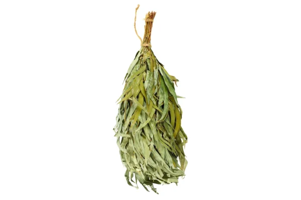Eucalyptustakken sauna